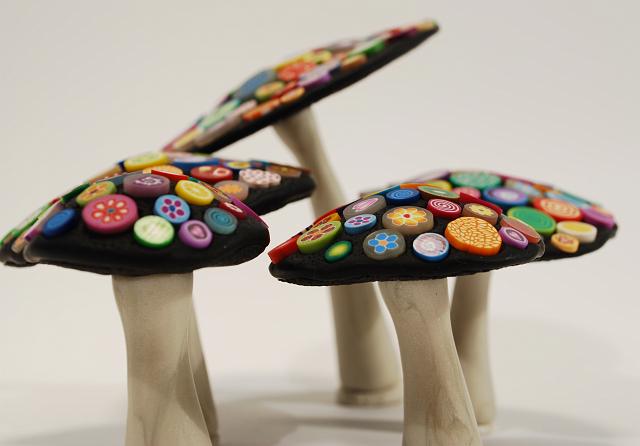 lara melnik - polychrome - catalogue - sweet boletes.JPG - Yukon Art Centre creates a catalogue of the show - this was taken before the show in December before the fungi were attached to their base.